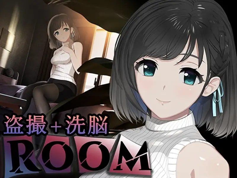 ROOM ROOM汉化版下载DLC特典推进思路 封面图
